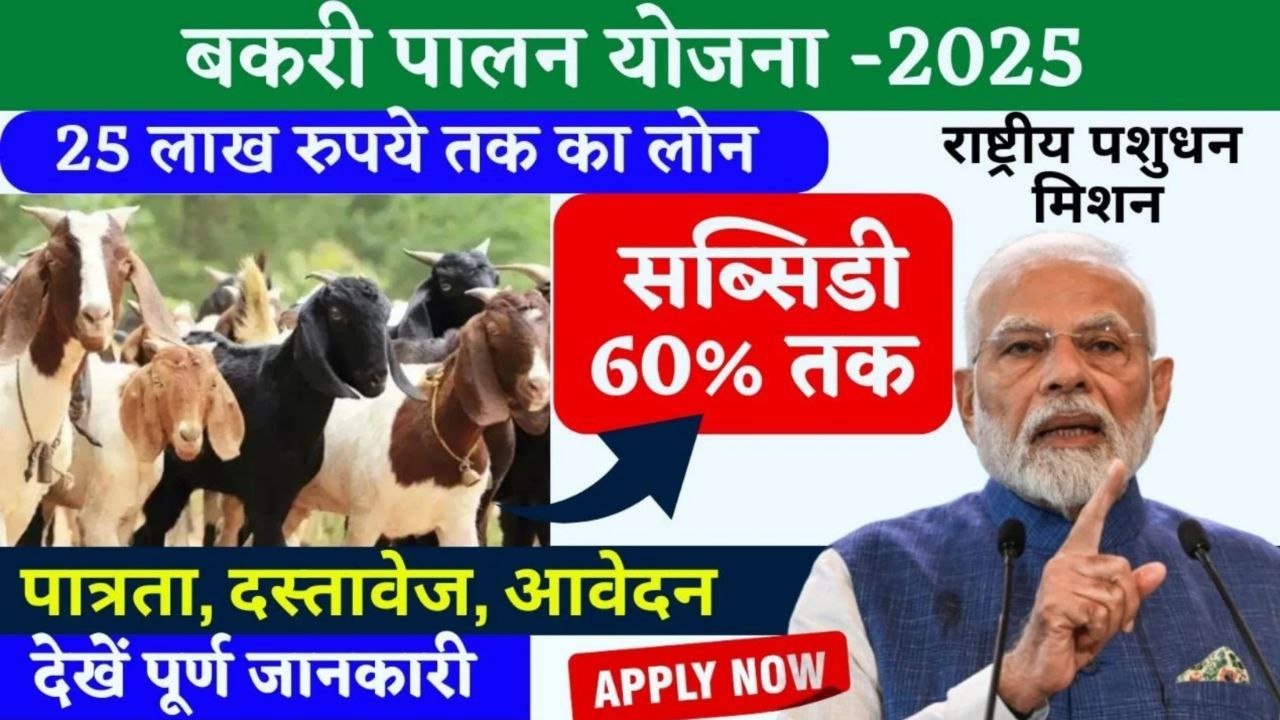 Goat Farming Subsidy Scheme 2026: मिलेगा 12 लाख का लोन और 90% सब्सिडी यहां से करें आवेदन